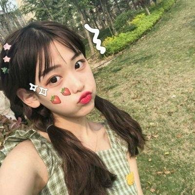 狐狸之声国语